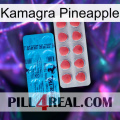 Kamagra Pineapple new14